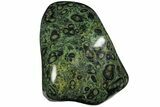 Polished Kambaba Jasper Freeform - Madagascar #137173-1